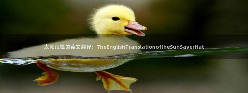 辉达娱乐广东11选5