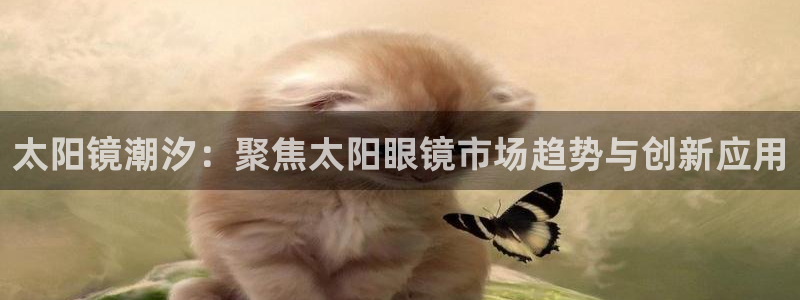辉达娱乐app