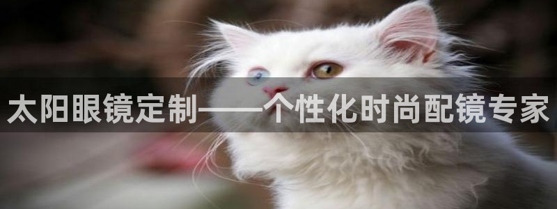 辉达平台官网电话