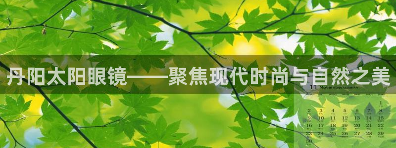 辉达娱乐公司