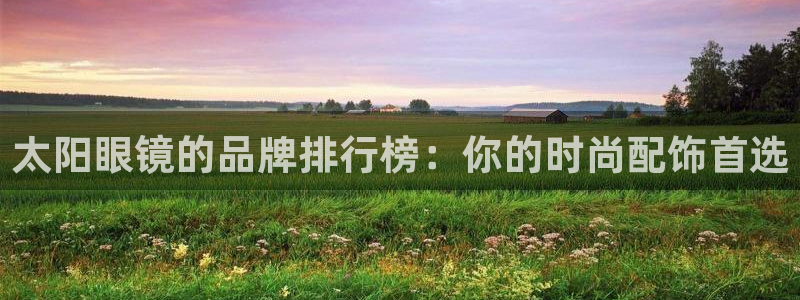 辉达平台娱乐怎么样