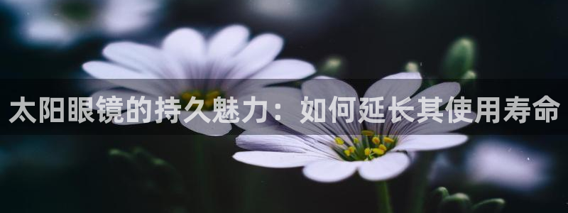 辉达娱乐app