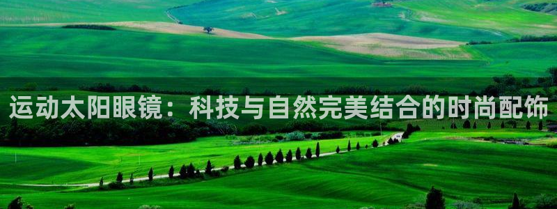辉达平台官网下载