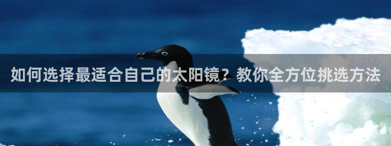 辉达娱乐最新消息新闻