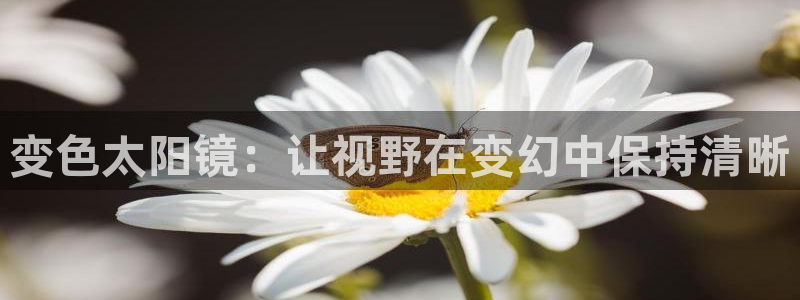 达娱乐辉70667