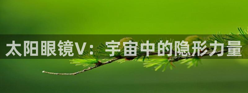 辉达娱乐加扣75775