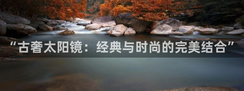 辉达娱乐公司