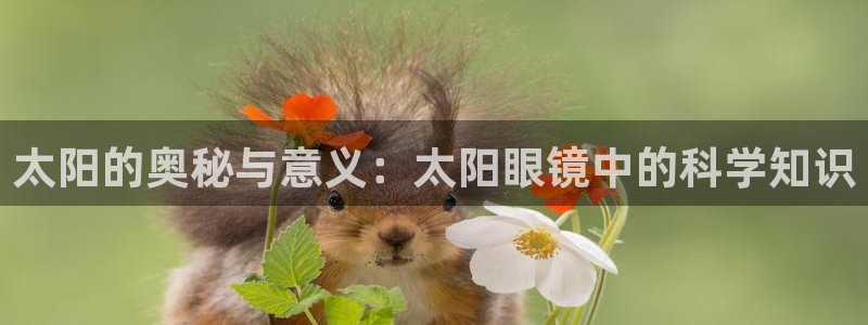 代理辉达娱乐官方网址