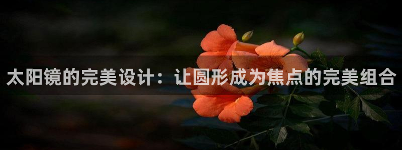 辉达娱乐网址
