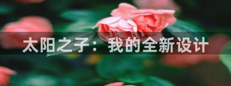 辉达娱乐丿75505