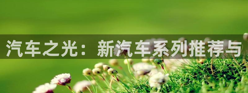 辉达娱乐珈75775