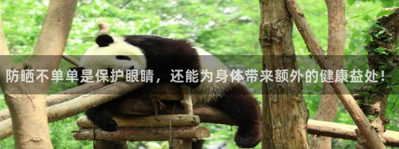 信誉辉达娱乐平台