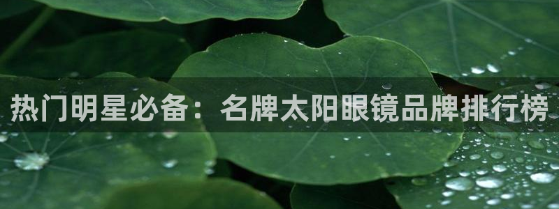 辉达娱乐体彩