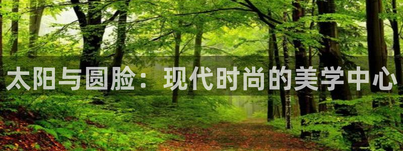 辉达娱乐官网