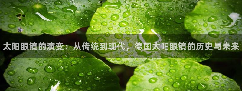 辉达娱乐体彩
