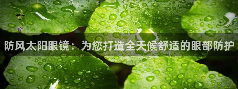 辉达娱乐网址