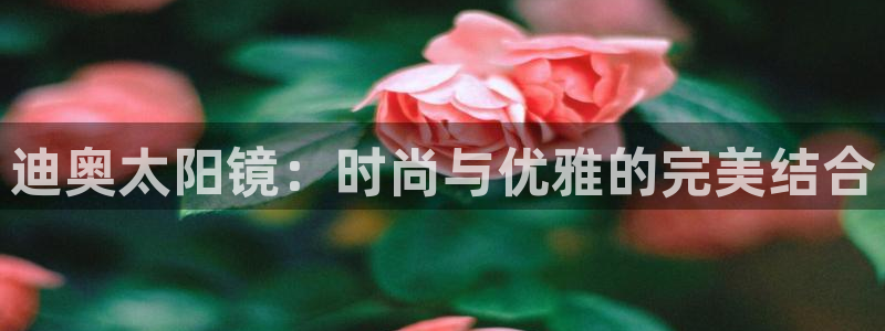 辉达娱乐最新消息新闻