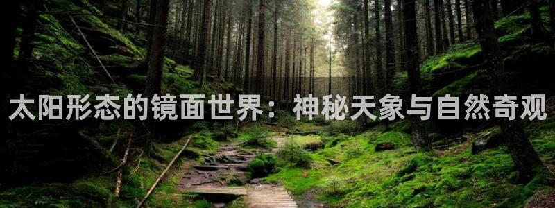辉达娱乐己75505