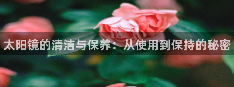 辉达平台官网网站