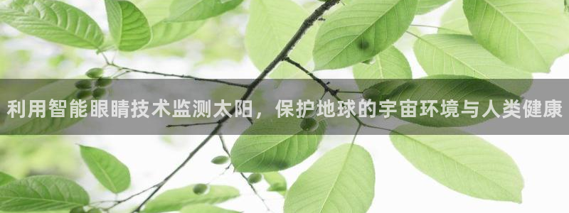 辉达娱乐ag游戏平台
