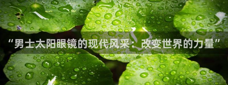 辉达娱乐待遇