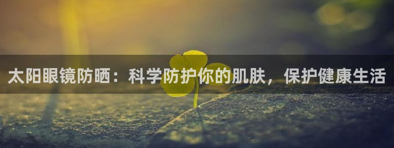 辉达娱乐计划软件