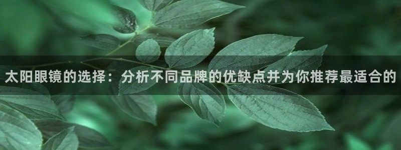 信誉辉达娱乐