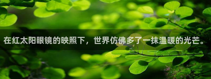 辉达娱乐体育竞猜