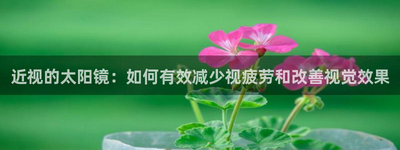 代理辉达娱乐