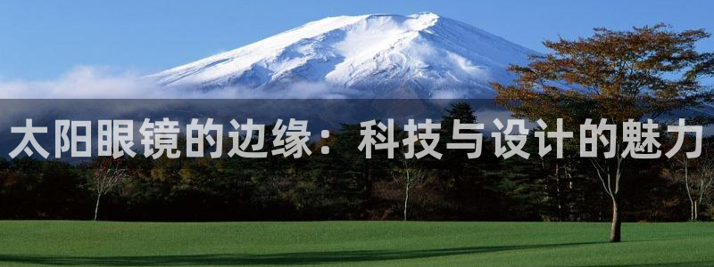辉达娱乐公司
