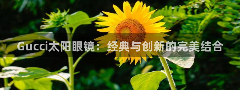 信誉辉达娱乐