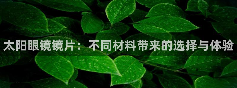 辉达娱乐己75505