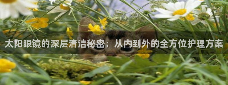 辉达娱乐总部