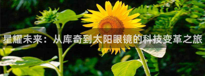 辉达娱乐时时彩平台