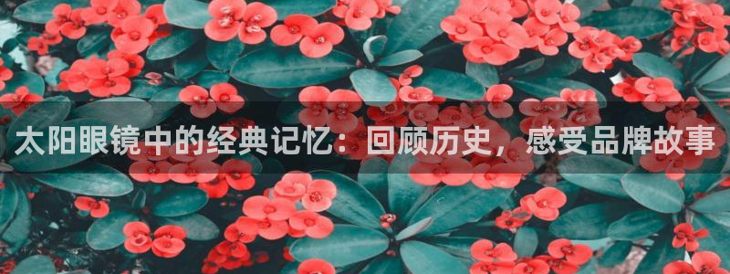 龙腾辉达电子娱乐