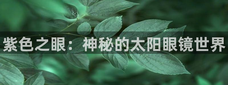 辉达娱乐最新消息新闻
