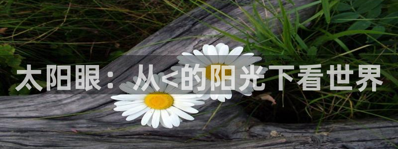 辉达娱乐排列三