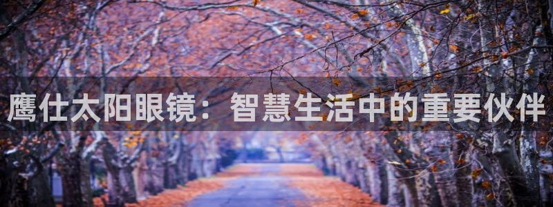 辉达娱乐五39444