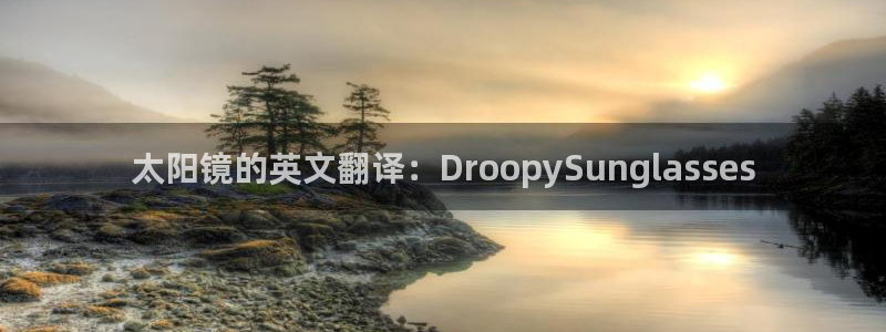 正规辉达娱乐平台