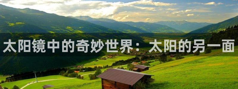 辉达娱乐公司