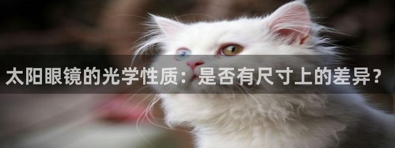 辉达娱乐加q75775