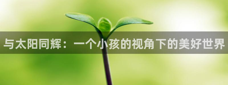 专业辉达娱乐平台