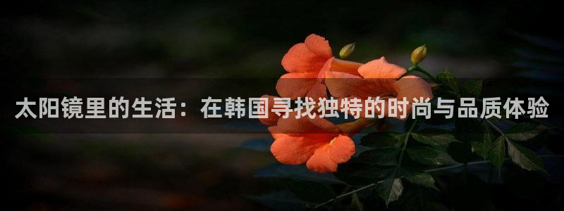 专业辉达娱乐官方网址