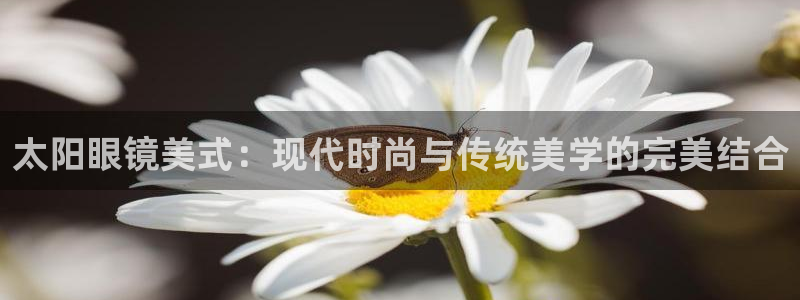 辉达平台官网网站