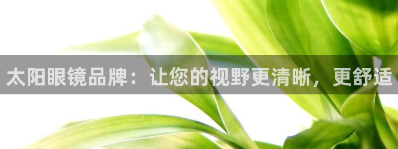 辉达娱乐检测