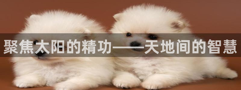 代理辉达娱乐