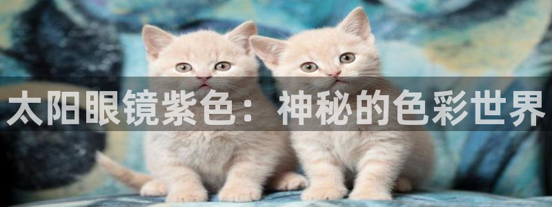 代理辉达娱乐平台