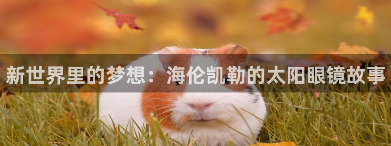 辉达娱乐排列三