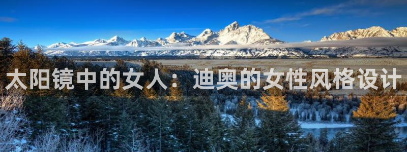 辉达平台娱乐怎么样