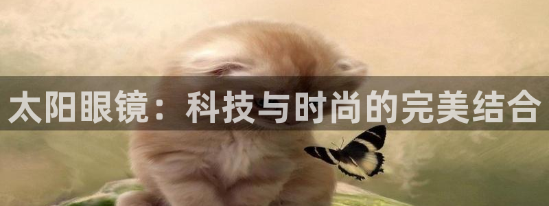 辉达娱乐广东11选5